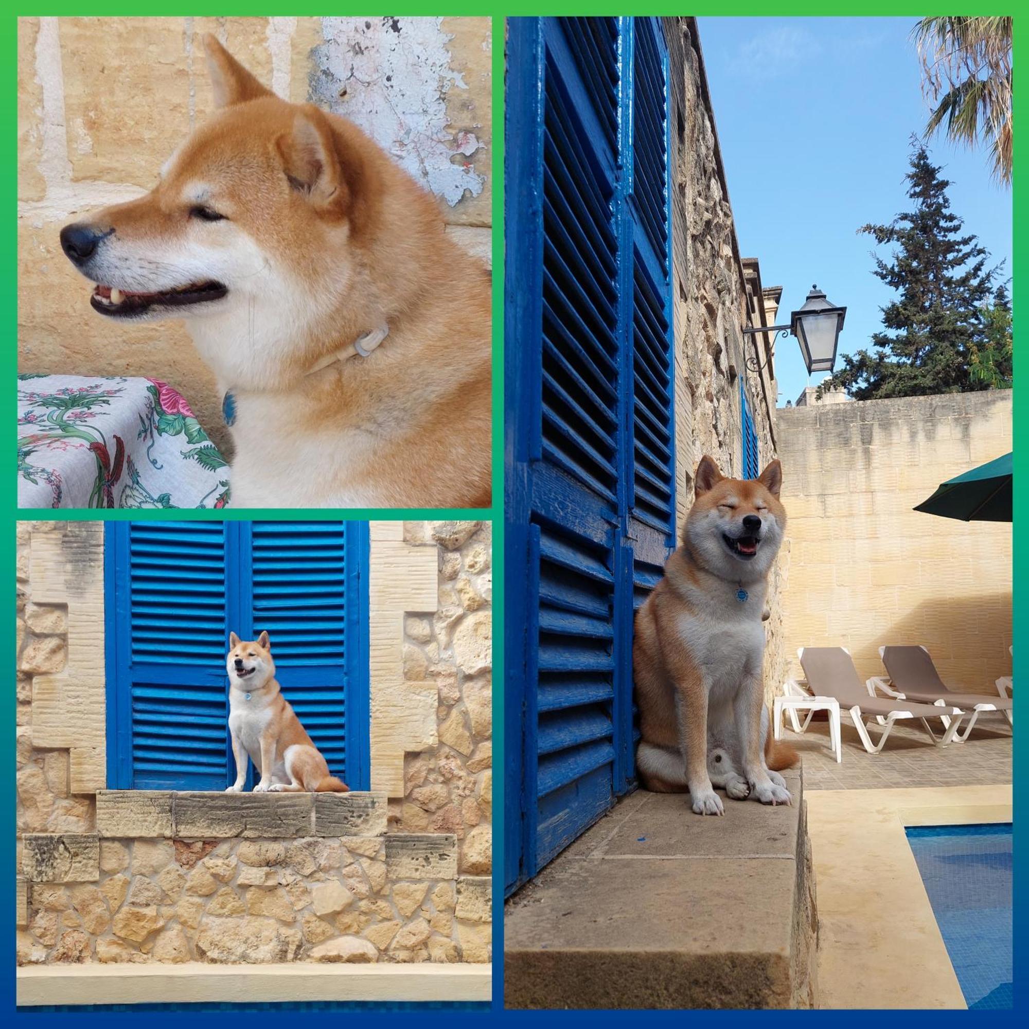 Mj Farmhouse B&B Xagħra Exterior foto